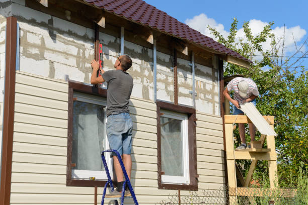 Best Custom Siding Design  in Morn, GA